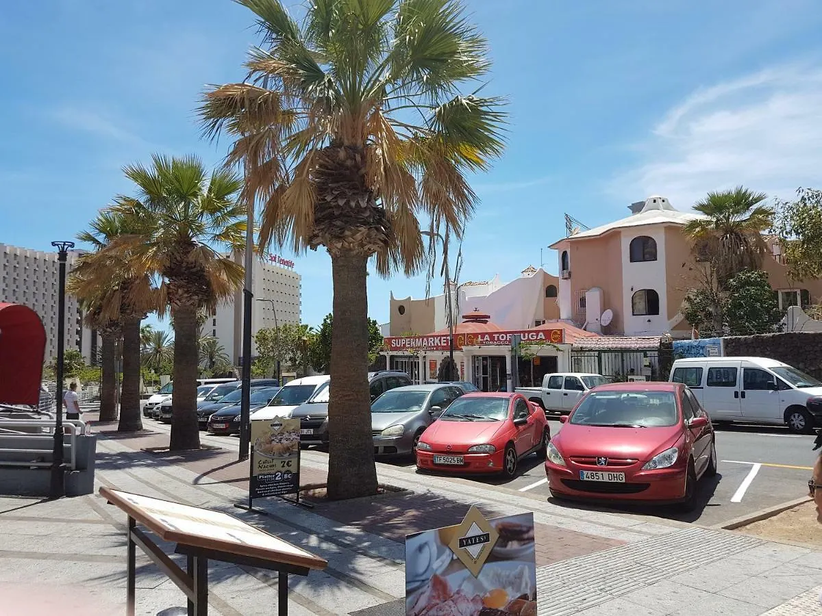 Holidays In Playa De Las Americas Arona  Spain